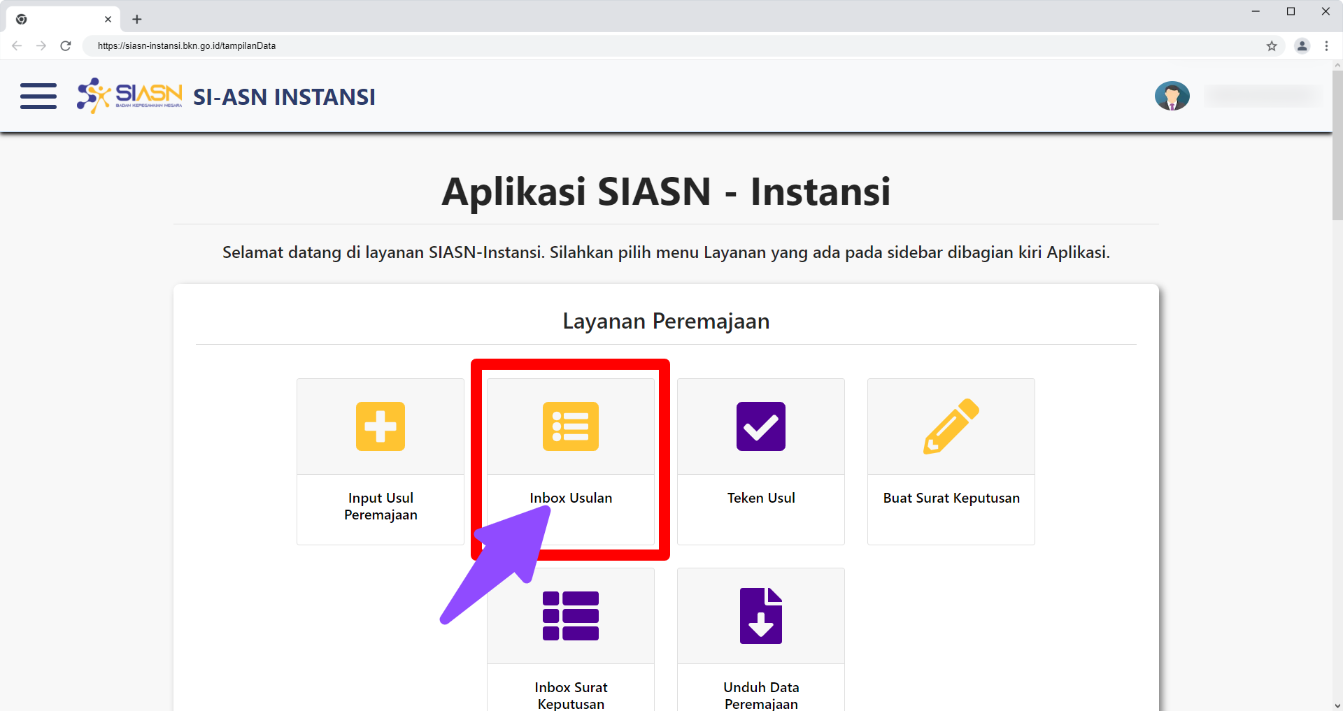 SIASN Instansi